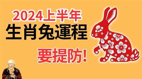 属兔2024|【屬兔2024生肖運勢】是非多人氣旺，運勢漸入佳。